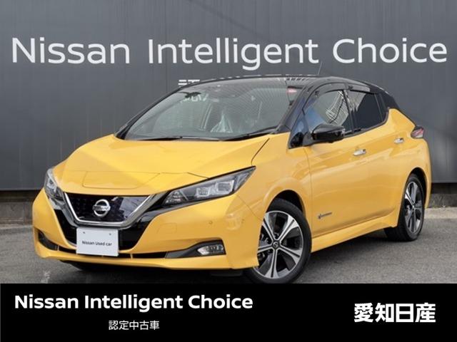 日産 リーフ Ｇ　プロパイロット　寒冷地仕様　全方位カメラ　パワステ　バックモニター　ＬＥＤヘッド　寒冷地仕様　ワンオーナー車　フルオートエアコン　ＥＴＣ車載器　ドラレコ　ワンセグＴＶ　ＬＤＰ　アダプティブクルーズ　サイドカメラ　サイドカーテンエアバック