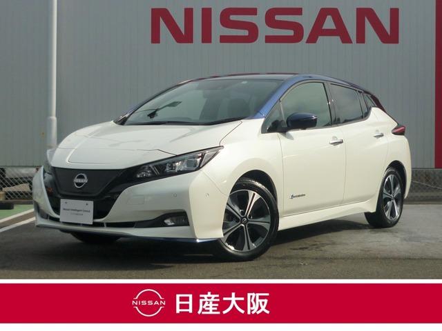 日産 リーフ ｅ＋　Ｇ　プロパイロット・シートヒーター　レザーシート　Ｂカメラ　ＬＥＤヘッド　アダプティブクルーズ　メモリナビ　インテリキー　キーフリー　サイドエアバック　ＬＫＡ　ナビＴＶ　ＥＴＣ　ＡＣ　ＡＷ　ＡＢＳ　フルセグＴＶ　誤発進抑制