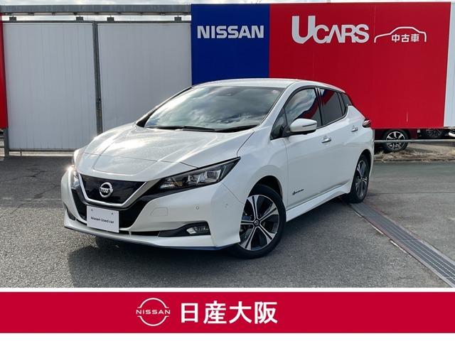 日産 リーフ ｅ＋　Ｇ　全周囲カメラ　寒冷地　１オーナー車　レザーシート　Ｂカメラ　ＬＥＤヘッド　禁煙車　アダプティブクルーズ　メモリナビ　インテリキー　サイドエアバック　ＬＫＡ　ナビＴＶ　ＥＴＣ　ＡＣ　パーキングアシスト