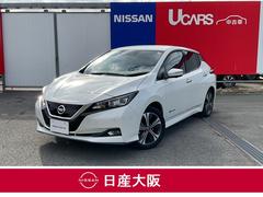 日産　リーフ　ｅ＋　Ｇ　全周囲カメラ　寒冷地