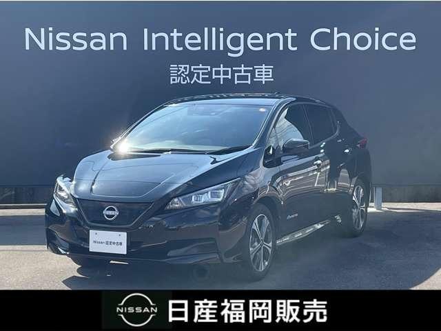 リーフ(日産) Ｘ　Ｖセレクション　プロパイロット・ＥＴＣ・メモリーナビ　アダプティブクルーズ　ＬＥＤライト　禁煙車　スマートキー 中古車画像