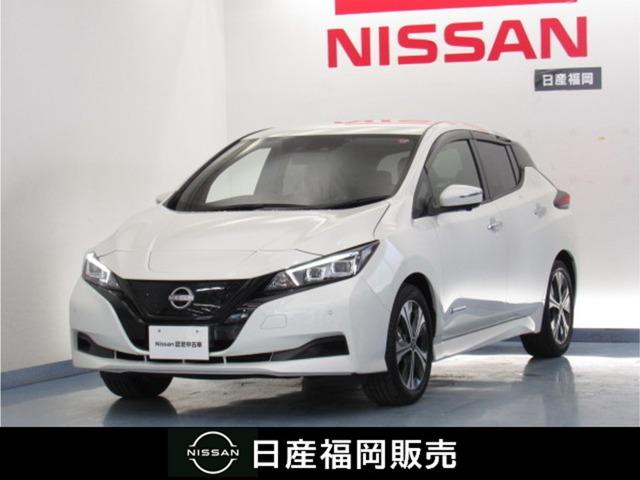 日産 リーフ Ｘ　Ｖセレクション　アダプティブクルーズ　ＬＥＤライト　ドラレコ　スマートキー　サイドエアバッグ　車線逸脱警報　ＥＴＣ　アルミホイール　オートエアコン　メモリーナビ　ワンセグＴＶ　ナビ＆ＴＶ　イモビライザー　バックカメラ