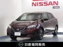 日産 リーフ アーバンクロム　エマブレ　アラウンドビューモニター...