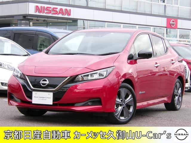 日産 リーフ アーバンクロム　１２セグメント　元弊社使用車　エマブレ