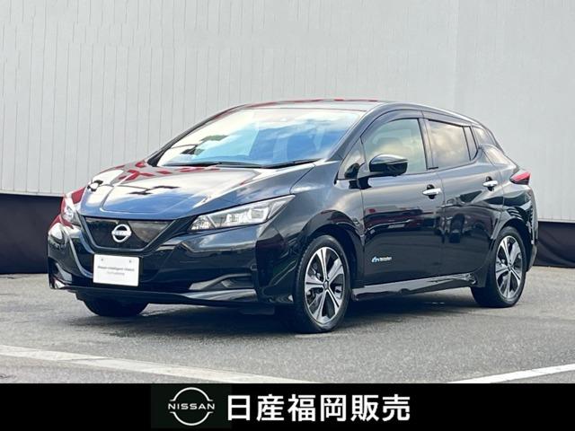 リーフ(日産) Ｘ　Ｖセレクション　純正ナビ　全周囲モニター　ドラレコ　バックモニター　パワーウィンドウ 中古車画像