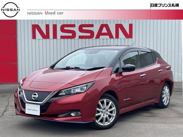 日産 リーフ ｅ＋　Ｇ　ご自宅充電新設工事上限補助有り！　寒冷地　パーキングサポート　ＬＥＤヘッドランプ　Ｂカメラ　１オーナー車　アダプティブクルーズ　ＬＫＡ　ＥＴＣ　インテリキー　キーフリー　盗難防止システム　記録簿　メモリナビ　ＡＣ　サイドエアバック