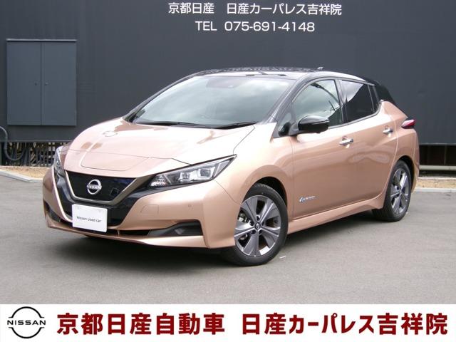 日産 リーフ アーバンクロム　当社試乗車ＵＰ　プロパイロット　アルミホイール　踏み間違い衝突防止アシスト　アラウンドビューモニター　ＬＥＤヘッドライト　寒冷地仕様　ＥＴＣ　インテリジェントキー　オートエアコン　車線逸脱防止　１オナ車　メモリーナビ