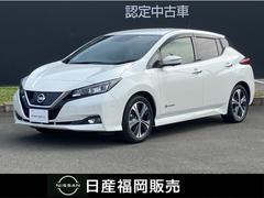 日産　リーフ　Ｇ　全周囲カメラ　プロパイロット　１２セグ