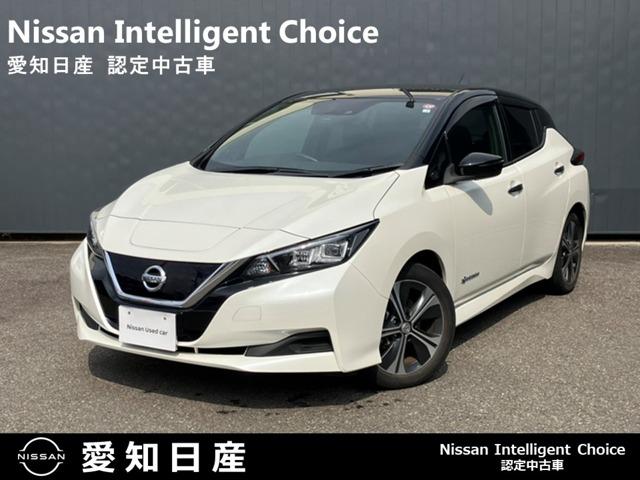 日産 リーフ Ｘ　純正ナビ　バックカメラ　シートヒーター