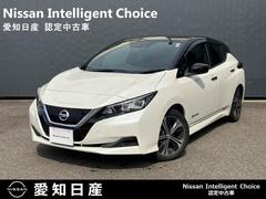 日産　リーフ　Ｘ　純正ナビ　バックカメラ　シートヒーター