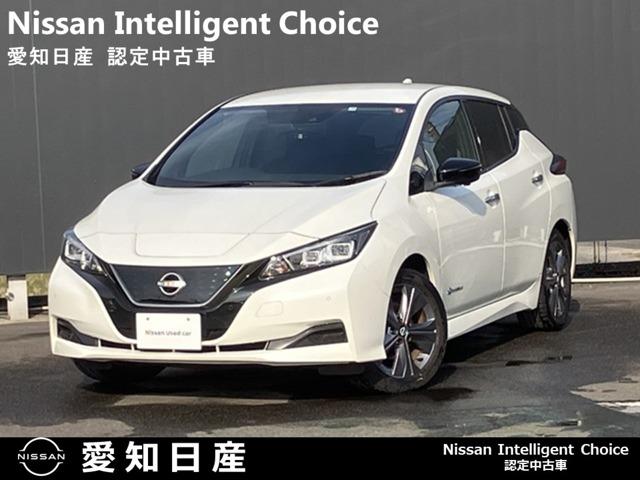 Ｇｅｔ－Ｕ管理番号：３５０－７８６－１１２９８ ◆東海◆愛知◆日産◆ＥＶ◆電気自動車◆リーフ