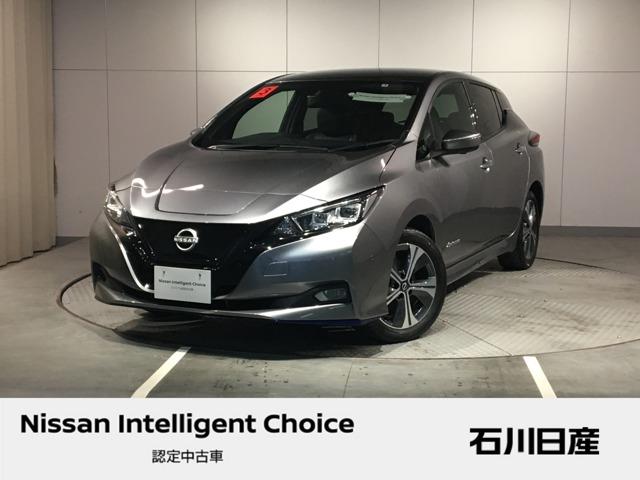 リーフ(日産) ｅ＋　Ｇ　プロパイロット　９インチ純正ナビ 中古車画像