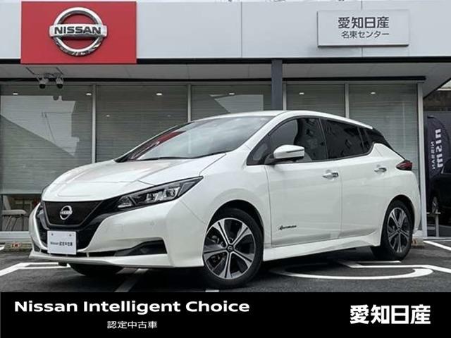 Ｇｅｔ－Ｕ管理番号：３５０－７８２－１１６６４ ◆東海◆愛知◆日産◆名古屋◆コンパクト◆ＥＶ◆電気自動車◆リーフ