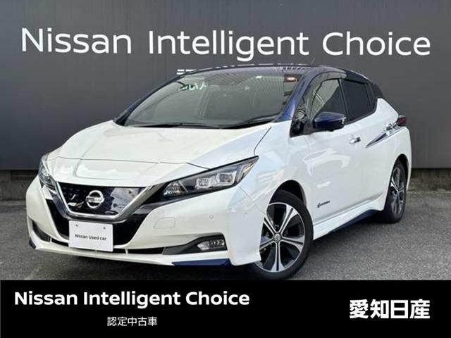 日産 リーフ Ｇ　【※バッテリー容量　車両確認時　１２セグメント】☆純正ナビ☆フルセグＴＶ☆プロパイロット☆ＥＴＣ☆シート＆ステアリングヒーター☆ＬＥＤヘッドライト☆フォグランプ☆サイドバイザー☆衝突被害軽減ブレーキ