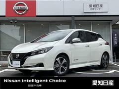 日産　リーフ　Ｘ　Ｖセレクション　☆【安心のワンオーナー】☆【寒冷地仕様】☆９インチメーカーナビ☆フルセグＴＶ☆プロパイロット☆全方位カメラ☆スマートルームミラー☆ＥＴＣ☆シート＆ステアリングヒーター☆ＬＥＤヘッドライト