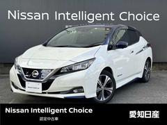 日産　リーフ　Ｇ　【※バッテリー容量　車両確認時　１２セグメント】☆純正ナビ☆フルセグＴＶ☆プロパイロット☆ＥＴＣ☆シート＆ステアリングヒーター☆ＬＥＤヘッドライト☆フォグランプ☆サイドバイザー☆衝突被害軽減ブレーキ