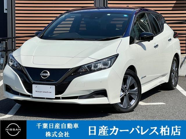 日産 リーフ アーバンクロム