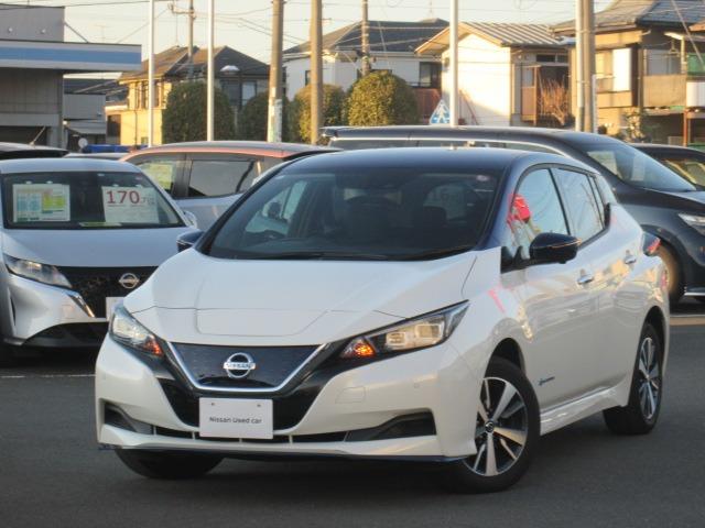 ｅ＋　Ｘ　６２ＫＷＨ　プロパイロット　寒冷地仕様　プロパイロット　寒冷地仕様　ＮｉｓｓａｎＣｏｎｎｅｃｔナビゲーション　アラウンドビューモニター　２．０ＥＴＣ　１２フルセグメント