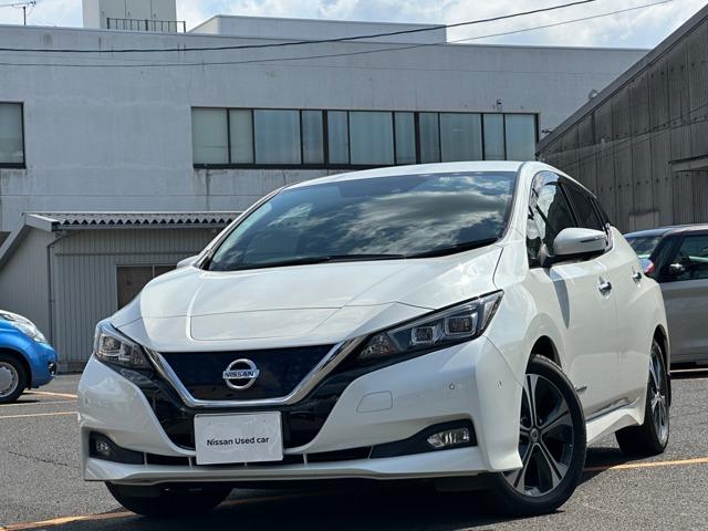 日産 リーフ Ｇ　プロパイロット　全周囲カメラ　衝突軽減