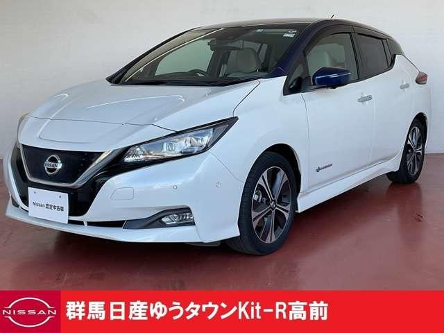 日産 リーフ Ｇ　整備記録簿　ＬＥＤ　ＥＴＣ