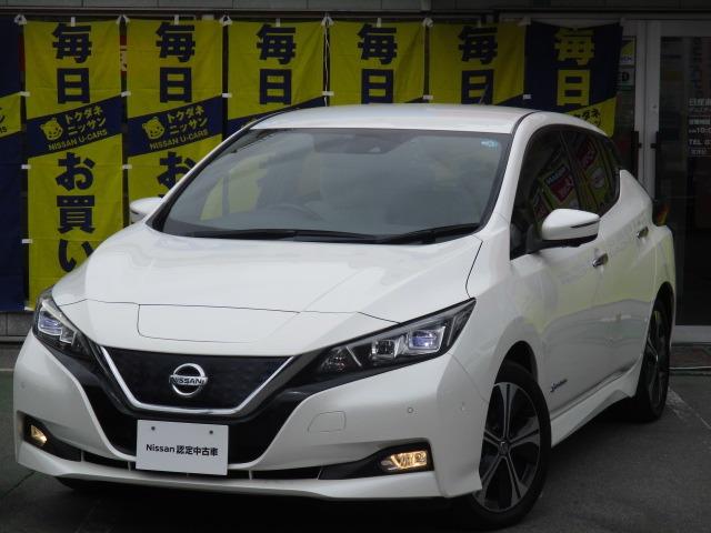 日産 リーフ Ｇ　★プロパイロット★アラウンドビュー★整備記録簿★ＬＥＤ★ＥＴＣ★インテリキー★セキュリティー★パワステ★オートエアコン★ＡＷ★コネクトナビ★フルセグ★サイドエアバック★パワーウィンドウ