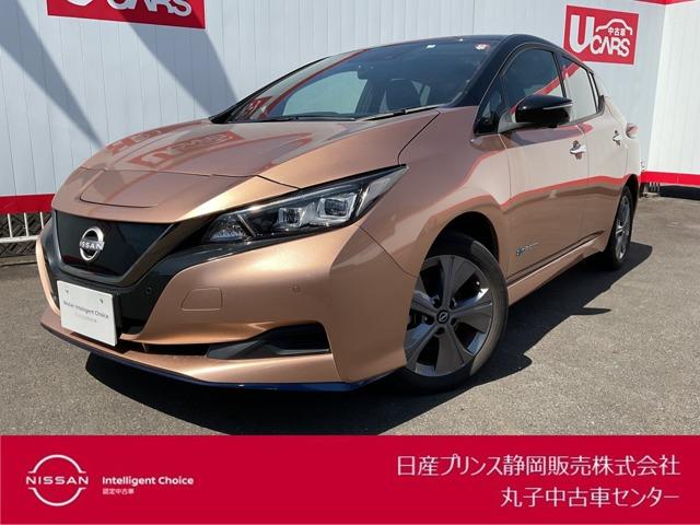 リーフ(日産) ｅ＋　アーバンクロム　ドラレコ・ＥＴＣ・アラウンドビューモニター　全周囲カメラ　インテリジェントキー　寒冷地仕様　ＥＴＣ 中古車画像