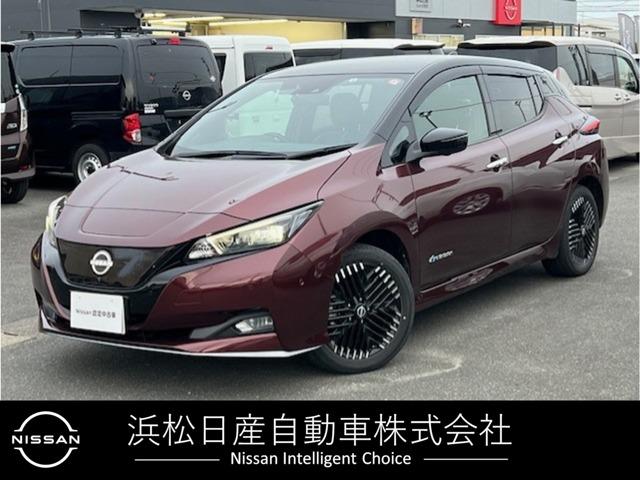 日産 リーフ ｅ＋　Ｇ　６２Ｋｗｈ　ＡＶＭ　全周囲モニター　衝突軽減　ドラレコ　ナビ　ワンオーナー　ＬＥＤヘッドライト　メモリーナビ　スマートキー　革シート　記録簿　車線逸脱警報　キーフリー　ＡＢＳ　ＡＣ　ＡＷ　アダプティブクルーズコントロール