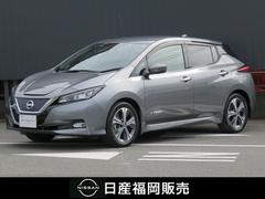 日産　リーフ　Ｇ　整備記録簿　ＬＥＤ　ＥＴＣ