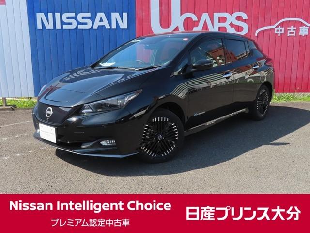 リーフ(日産) ｅ＋　Ｇ　当社元試乗車　メモリーナビ　ＥＴＣ付　インテリジェントアラウンドビューモニター　ドラレコ 中古車画像