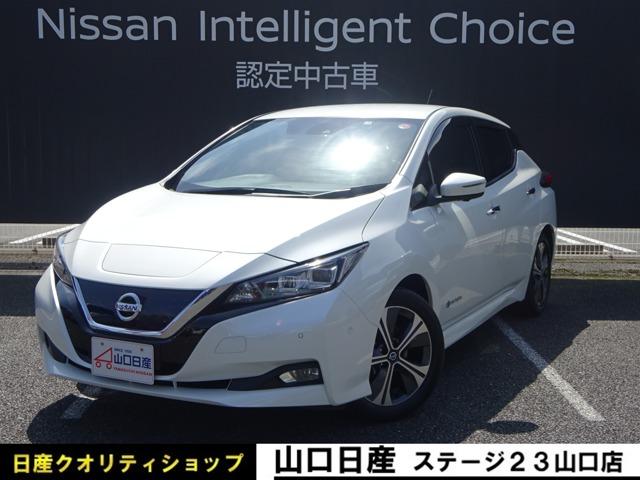 日産 リーフ Ｇ　レーダークルコン　運転席エアバッグ　サイドカーテンエアバック　ＥＴＣ　インテリジェントキー　ドラレコ　ワンオーナー車　パワステ　パーキングサポート　ＬＤＰ　キーフリー　フルオートエアコン　ナビ・ＴＶ