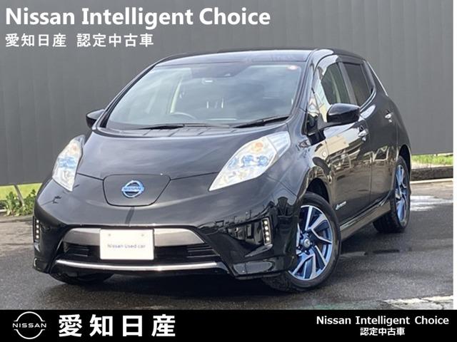 日産 リーフ ３０ｋＷｈ　Ｘ　エアロスタイル　サンクス　エディション　バックカメラ　盗難防止　インテリジェントキー　エマブレ　クルコン　車線逸脱警告　ドライブレコーダー　バックカメラ　メモリーナビ　アルミホイール　オートエアコン