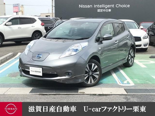 ３０ｋＷｈ　Ｘ　サンクス　エディション　ナビ　Ｂカメラ　インテリキー　ＡＷ　キーフリー　盗難防止システム　メモリーナビゲーション　エアバッグ　ＡＢＳ　クルーズＣ　衝突被害軽減ブレーキ　ＬＥＤヘッド