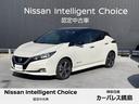 日産 リーフ Ｇ　アクセルペダルだけで運転する、新しい運転感覚『...