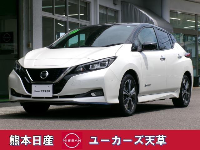 日産 リーフ ｅ＋　Ｇ　ＢＯＳＥサウンド