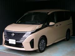 日産　セレナ　２．０　ハイウェイスターＶ　ナビ＋ＡＶＭ　後席Ｍ