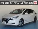 Ｇｅｔ－Ｕ管理番号：６５２－０Ａ０－０６７６４ 日産リーフは電気自動車。加速性能。操縦安定性。静粛性。そのすべてに、電気