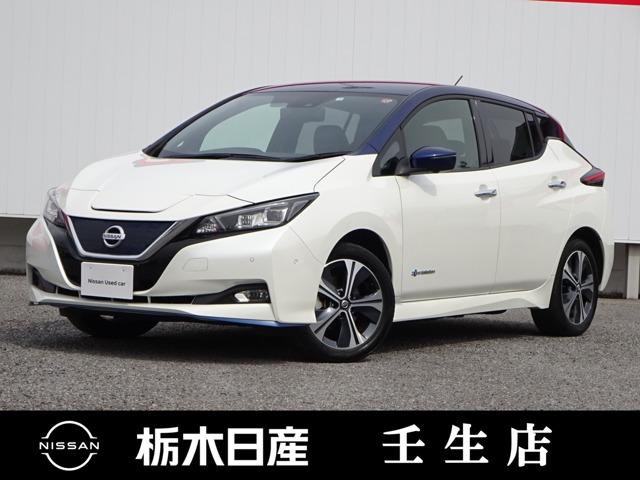 日産 リーフ ｅ＋　Ｇ　プロパイロット　メーカーメモリーナビ