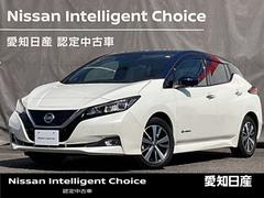 日産　リーフ　Ｘ　リーフ専用ナビ　全周囲カメラ　ＬＥＤライト