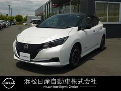 日産　リーフ　ｅ＋　Ｘ　踏み間違い衝突防止　ＬＥＤライト