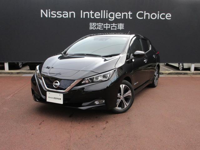 注目 綺麗 日産 リーフ 突き詰めれ 純正 オプション ミシュラン 注目 綺麗 日産 リーフ 突き詰めれ 純正 オプション ミシュラン