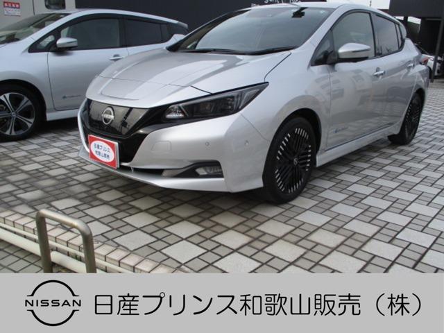 Ｇ　プロパイロット　アラウンドビュー　ナビ