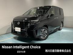 日産　セレナ　２．０　ハイウェイスターＶ　４ＷＤ　防水シート