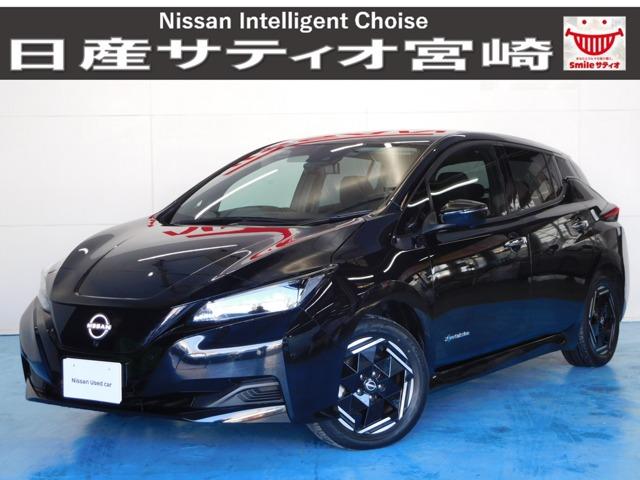 注目 綺麗 日産 リーフ 飛び掛っ 純正 オプション ミシュラン 注目 綺麗 日産 リーフ 飛び掛っ 純正 オプション ミシュラン