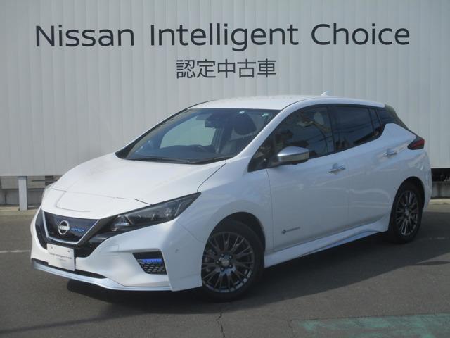 注目 綺麗 日産 リーフ 飛び掛っ 純正 オプション ミシュラン 注目 綺麗 日産 リーフ 飛び掛っ 純正 オプション ミシュラン