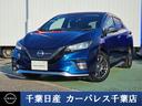 carPhoto