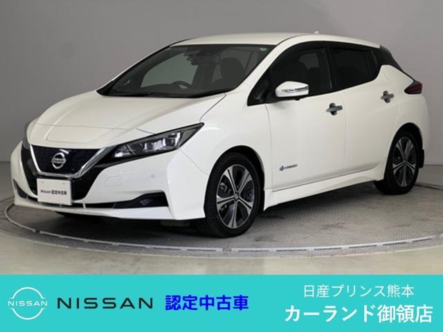 リーフ(日産) Ｘ　Ｖセレクション　ドラレコ　プロパイロット　シートヒーター 中古車画像
