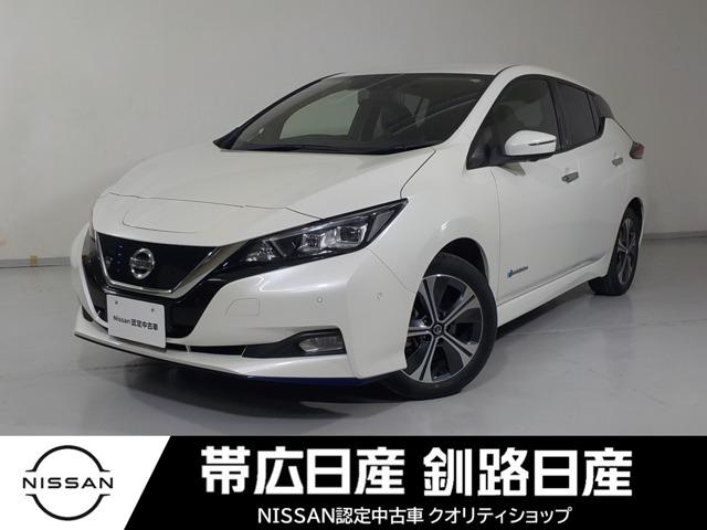 リーフ ｅ＋　Ｇ（1枚目）