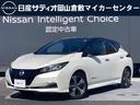 carPhoto