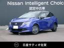 carPhoto