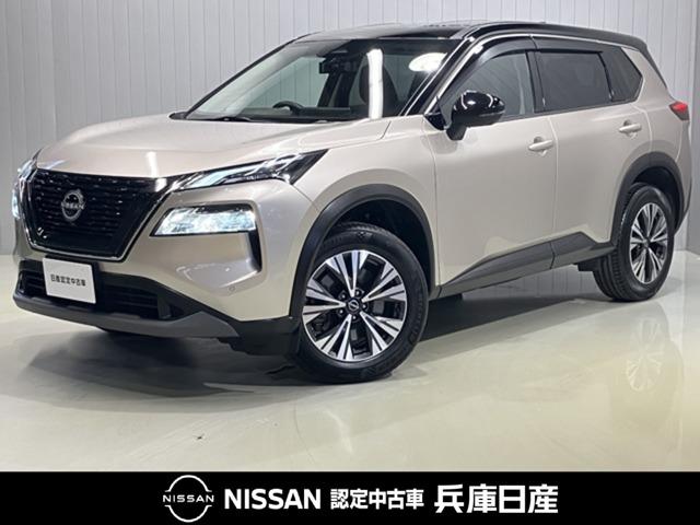 GNXgC(Y) PDT@w@[J[noirES̓JEOȃV[g Îԉ摜